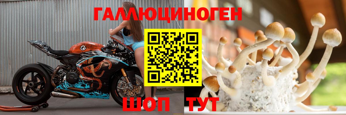 Галлюциногенные грибы MAGIC MUSHROOMS Тверь