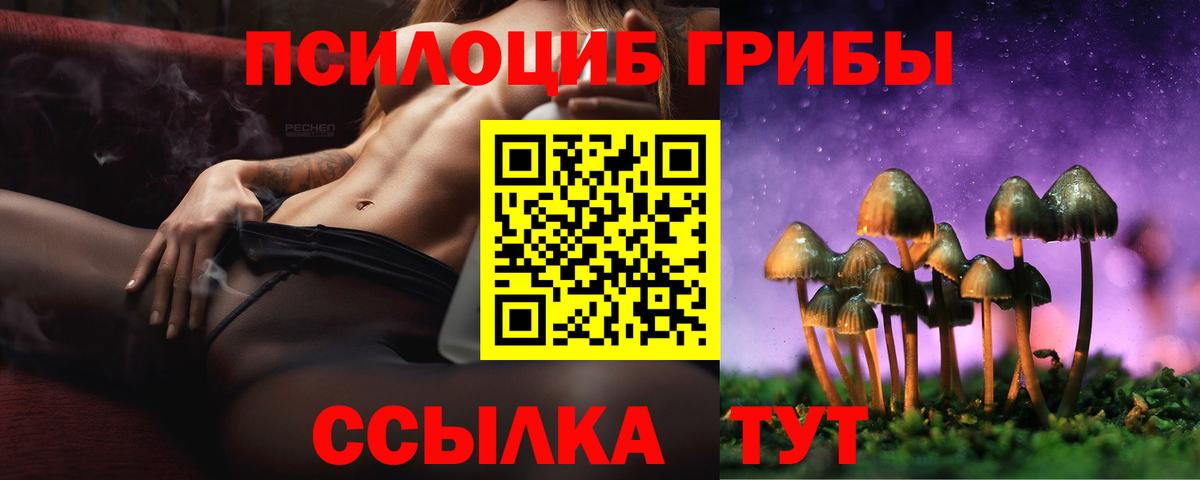 Псилоцибиновые грибы Psilocybine cubensis  Вход с VPN  Галлюциногенные грибы Psilocybine cubensis  Тверь 
