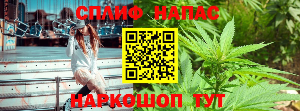 Каннабис Amnesia  Канабис Bruce Banner  Тверь  Канабис сатива  Шишки марихуана Bruce Banner  Вход с VPN 